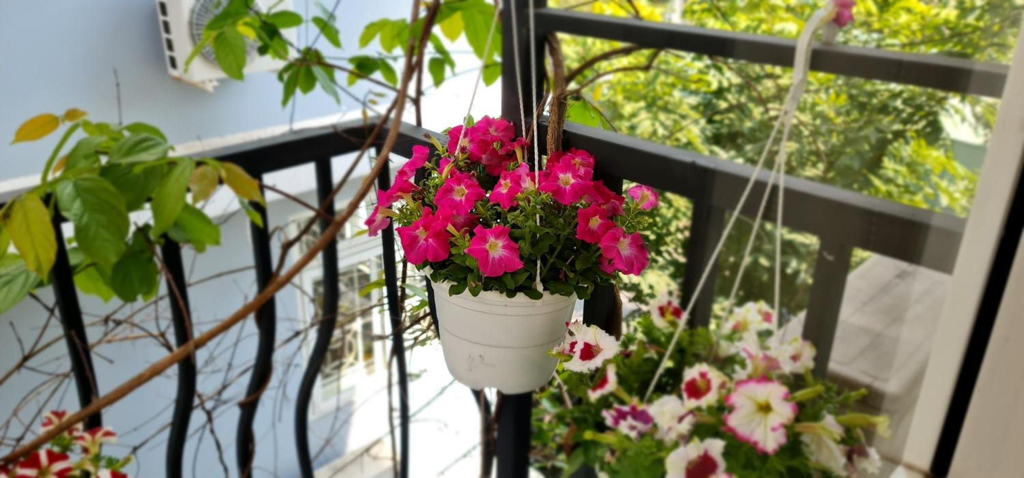 Spring Light Home Ciudad Ho Chi Minh  Exterior foto
